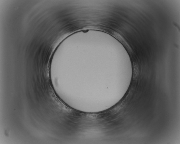 X0000100850908200807181053