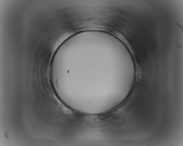 X0000100850909200807181053