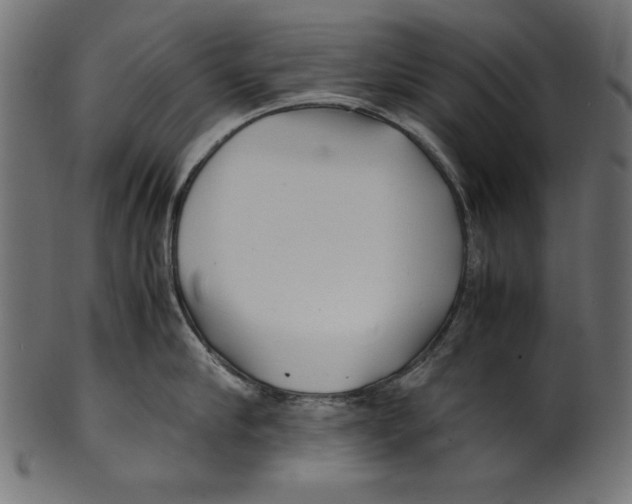 X0000100850910200807181053