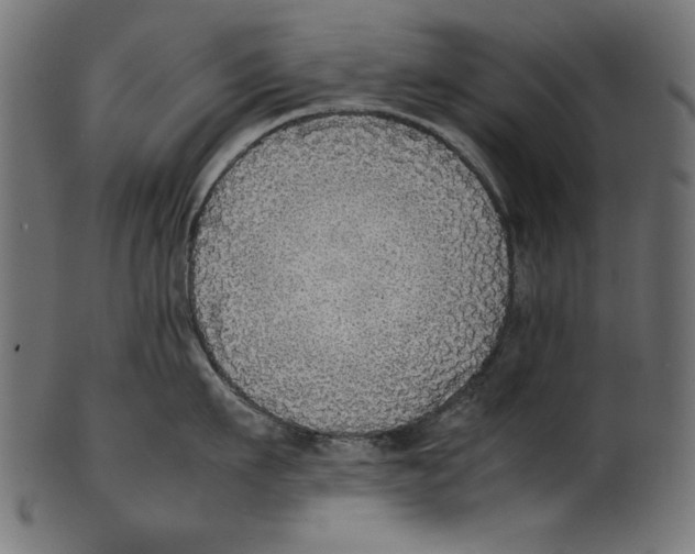 X0000100850911200807181053
