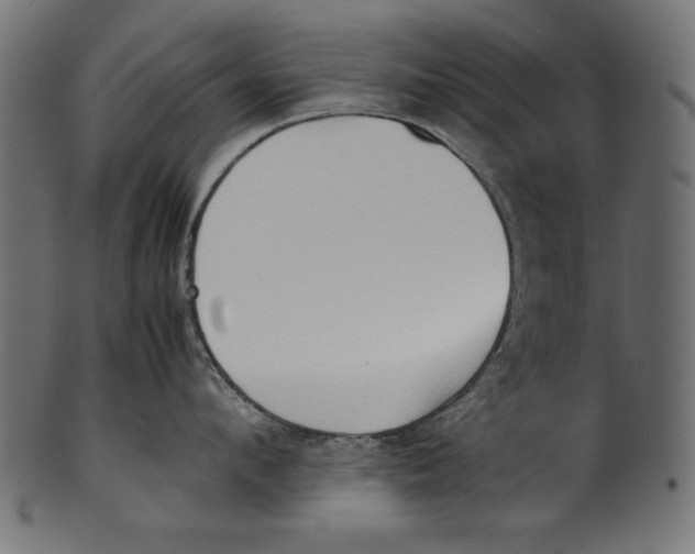 X0000100850912200807181053
