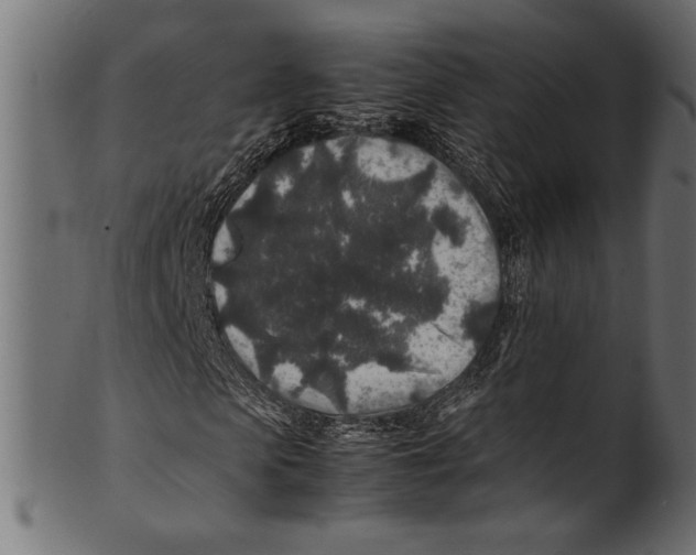 X0000100850913200807181052