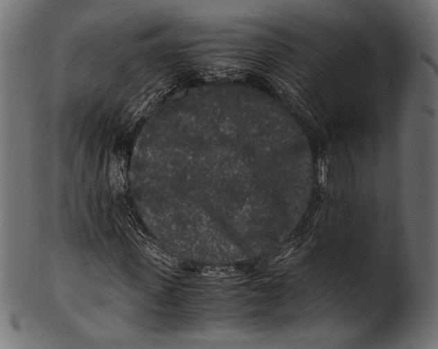 X0000100850915200807181052