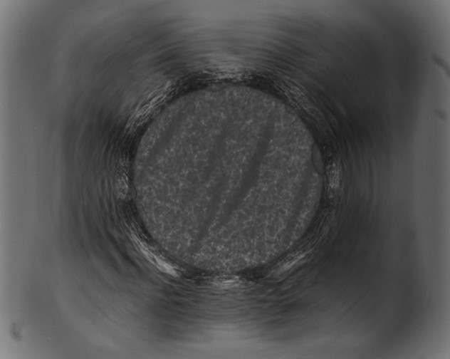 X0000100850916200807181053