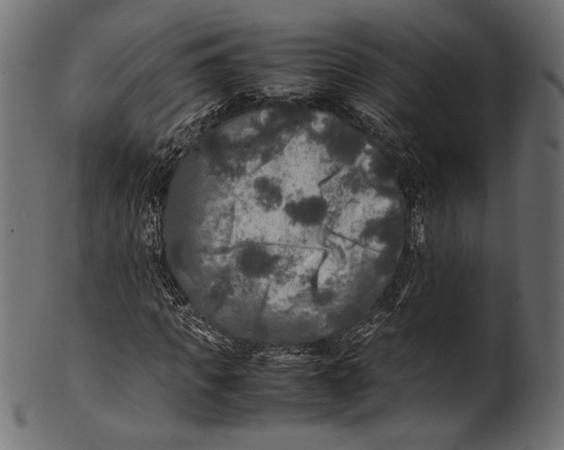 X0000100850917200807181053
