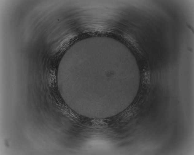 X0000100850918200807181053