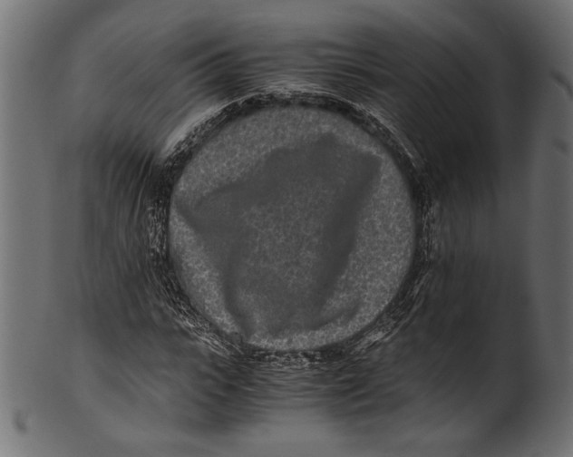 X0000100850919200807181053