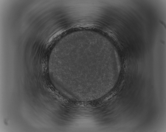 X0000100850920200807181053