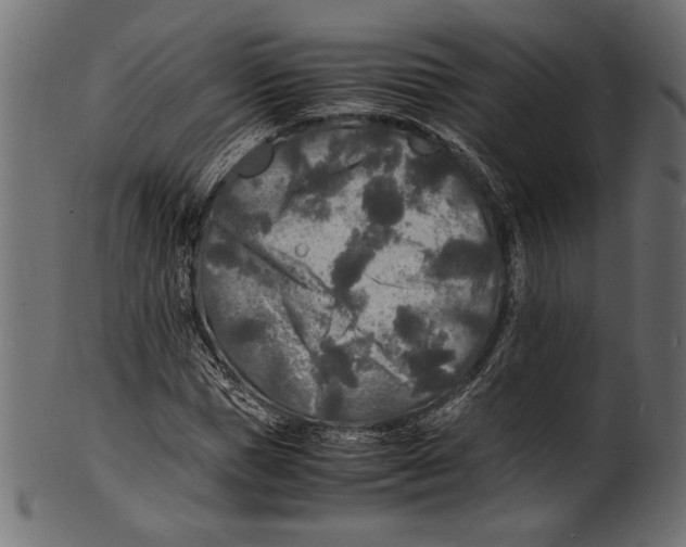 X0000100850921200807181053