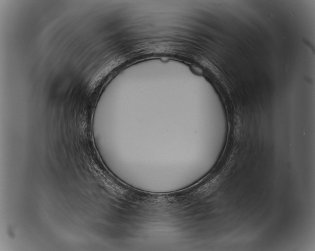 X0000100850922200807181053