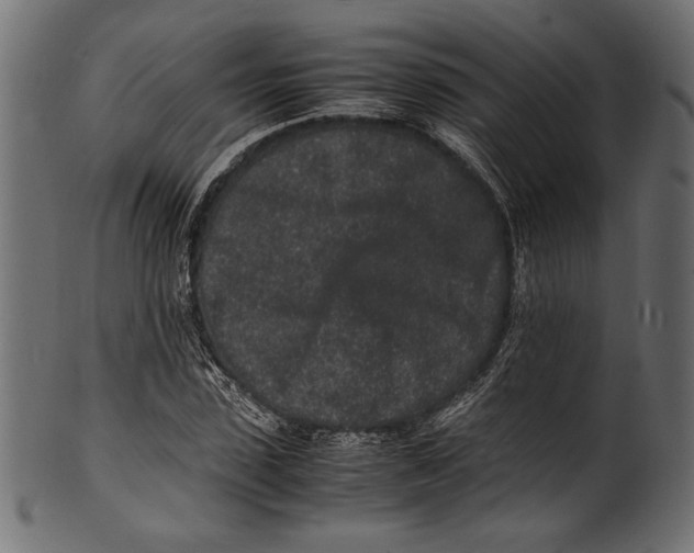 X0000100850923200807181053