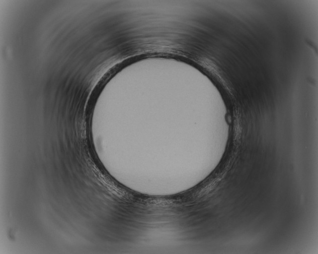 X0000100850924200807181053
