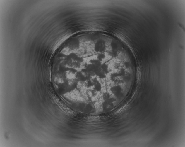 X0000100850925200807181053