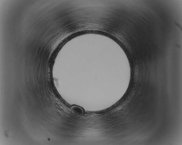 X0000100850926200807181053