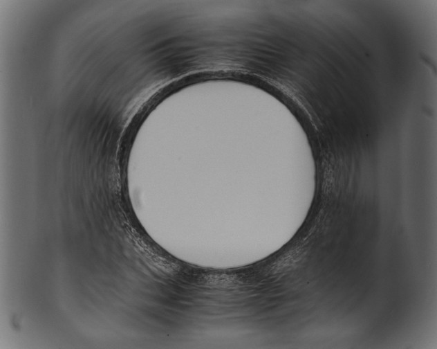 X0000100850927200807181053