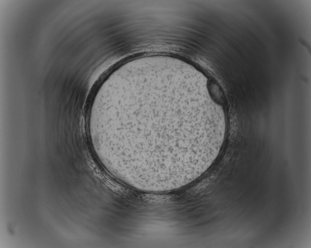 X0000100850928200807181053
