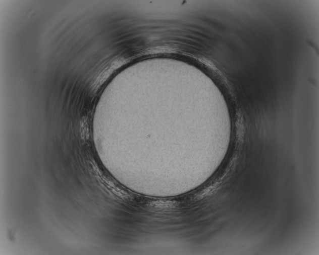 X0000100850929200807181053