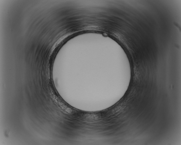 X0000100850931200807181053