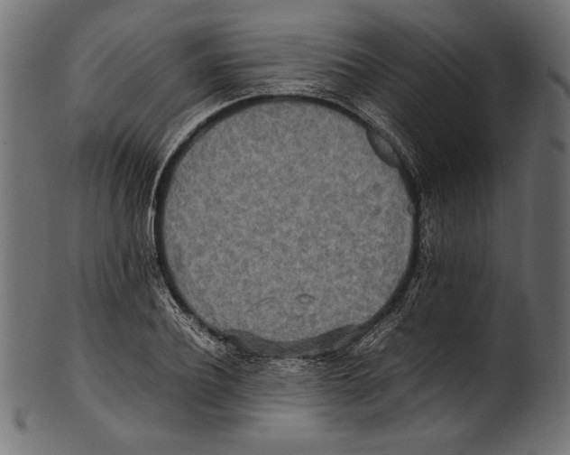 X0000100850932200807181053