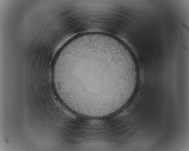 X0000100850933200807181053
