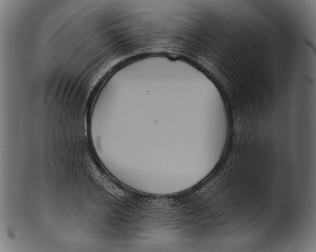 X0000100850934200807181053
