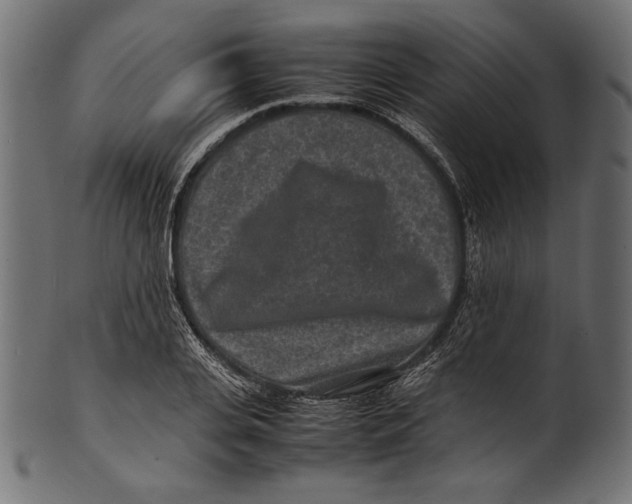 X0000100850935200807181053