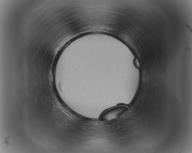 X0000100850936200807181053