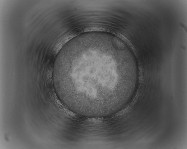 X0000100850937200807181053