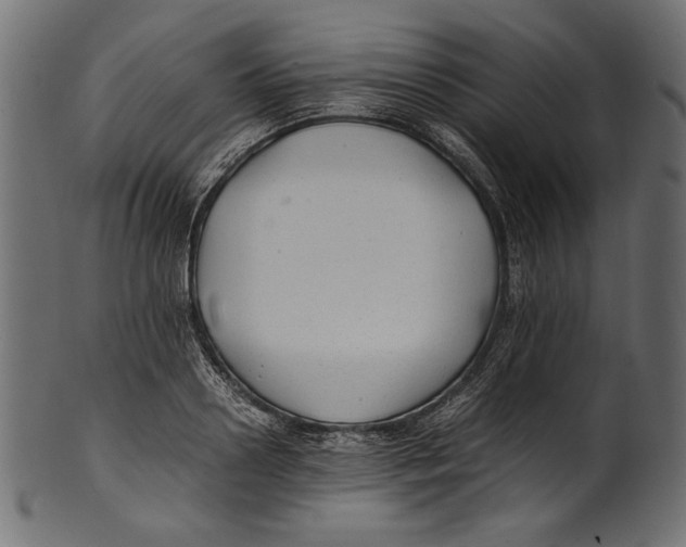 X0000100850938200807181053