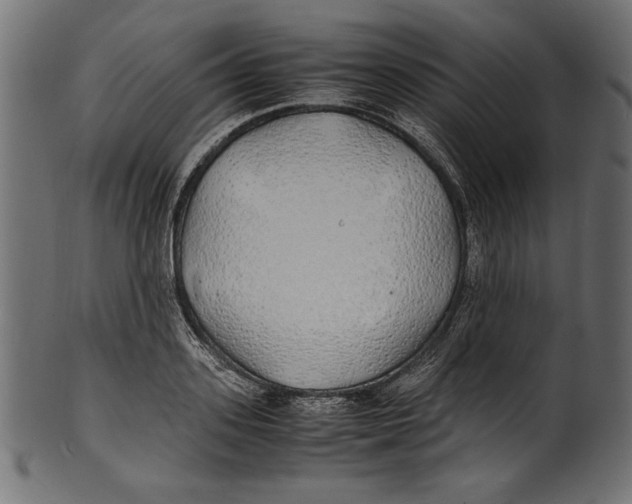 X0000100850939200807181053