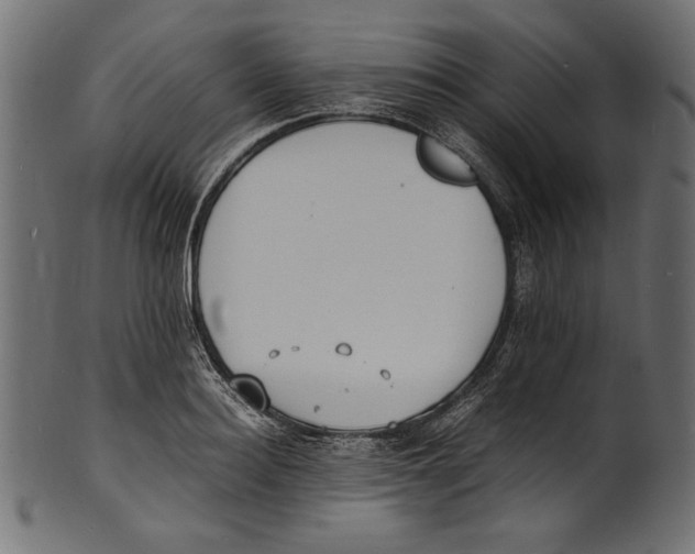X0000100850940200807181053