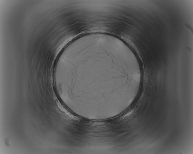 X0000100850941200807181053