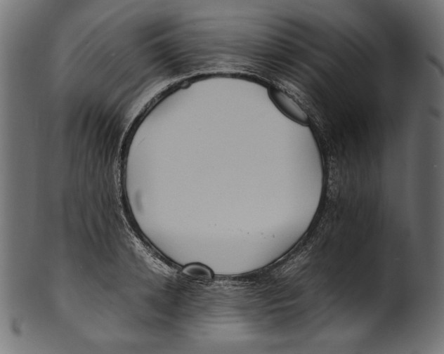 X0000100850942200807181053