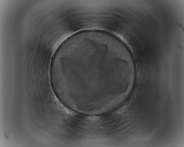 X0000100850943200807181053