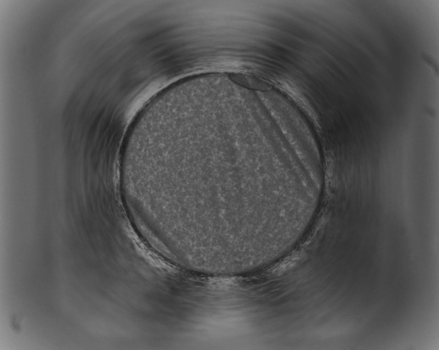 X0000100850944200807181053