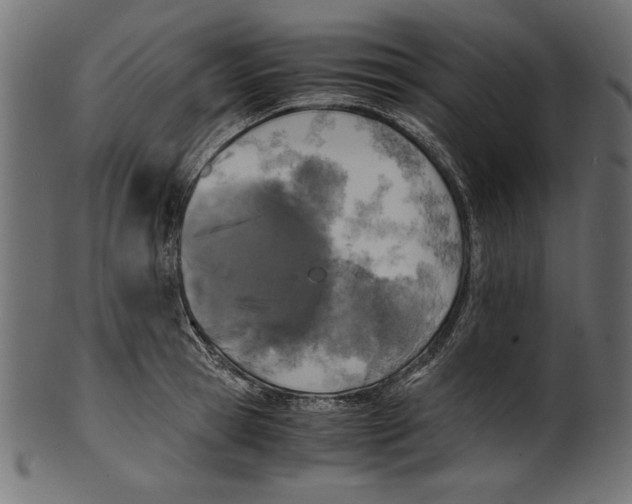 X0000100850945200807181053