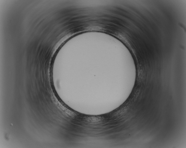 X0000100850947200807181053