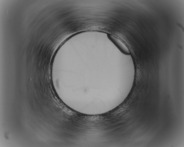 X0000100850948200807181053