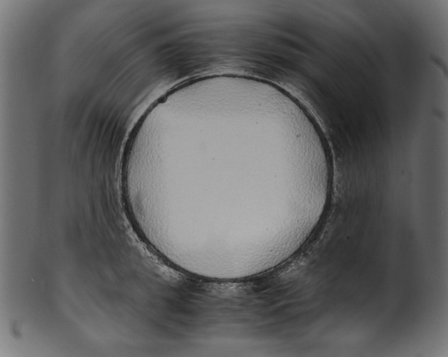 X0000100850949200807181053