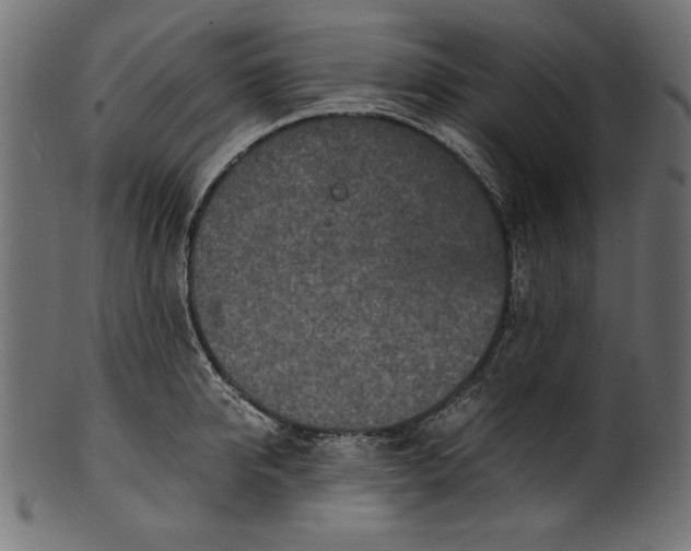 X0000100850950200807181053