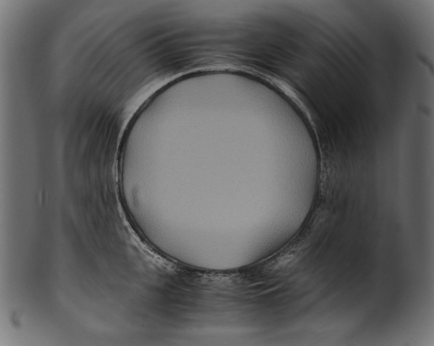 X0000100850951200807181053