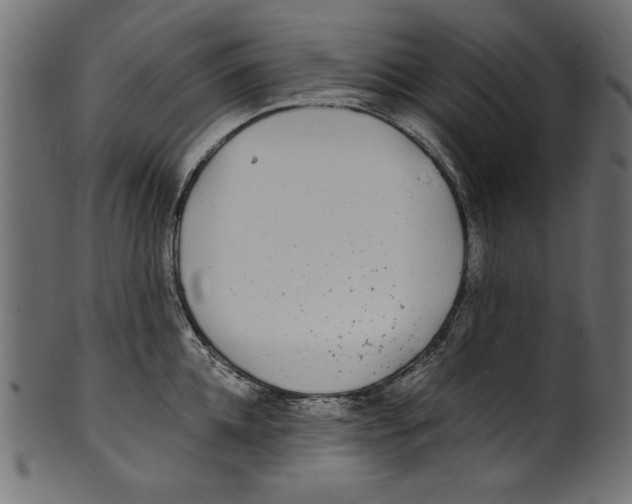 X0000100850952200807181053