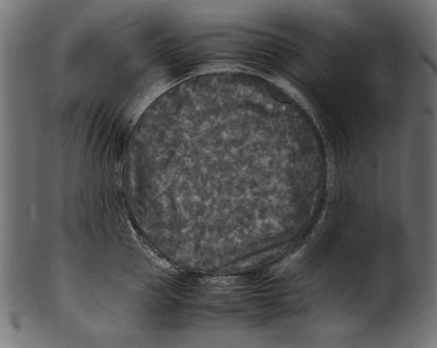 X0000100850953200807181053