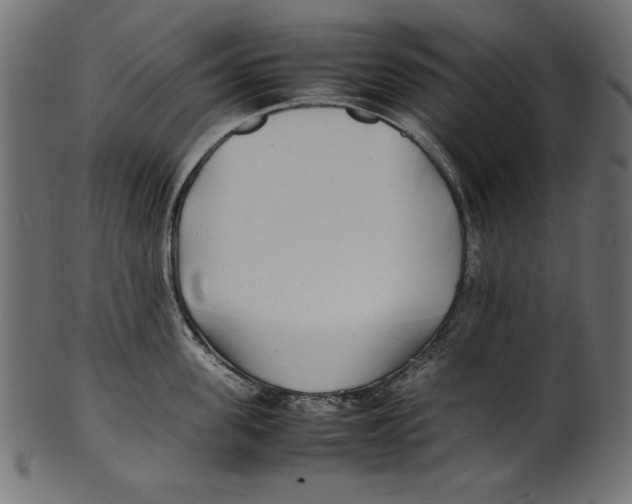 X0000100850955200807181053