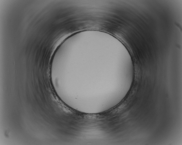 X0000100850956200807181053