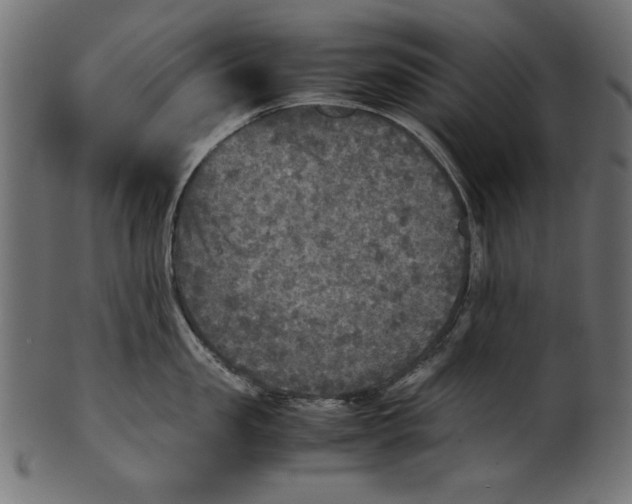 X0000100850957200807181053