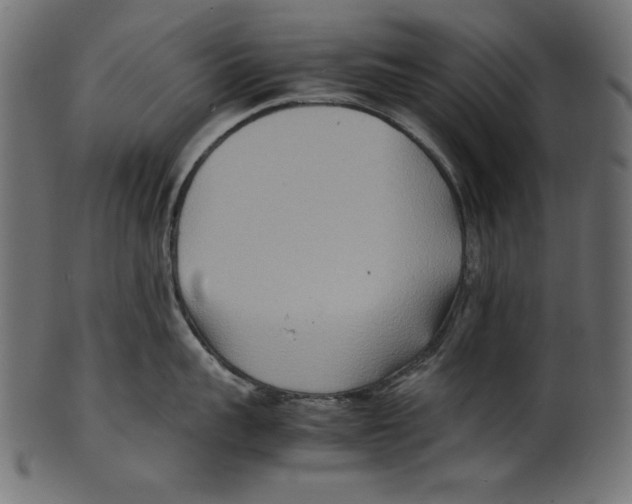 X0000100850959200807181053