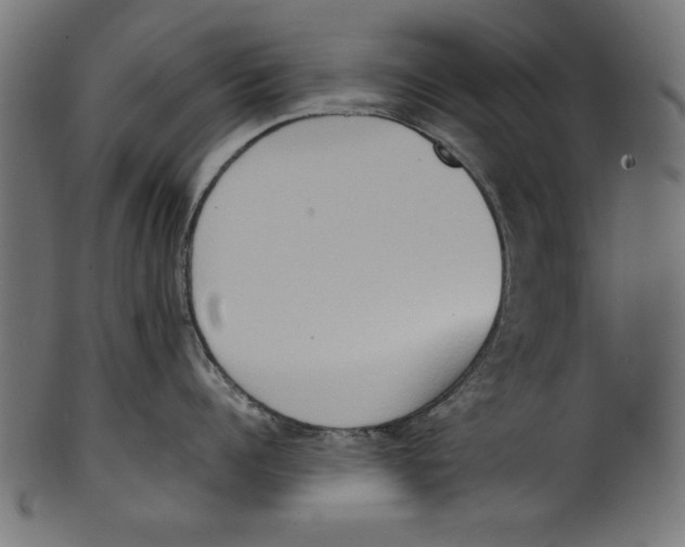 X0000100850960200807181053