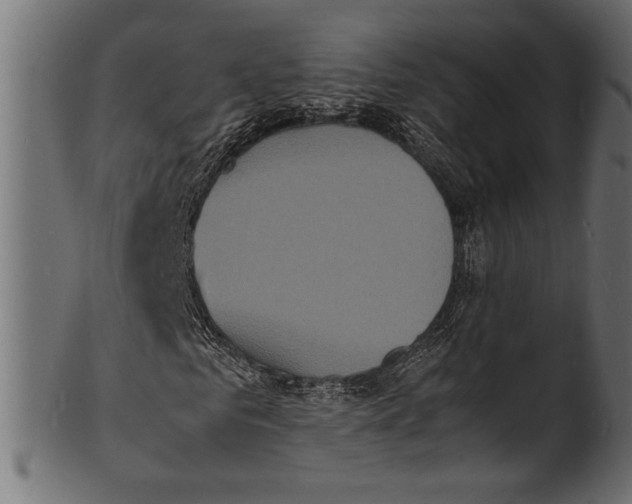 X0000100850961200807181052