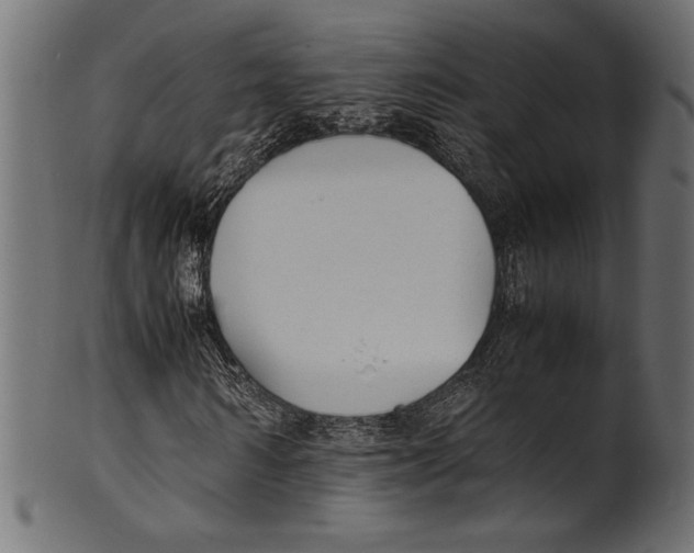 X0000100850962200807181052